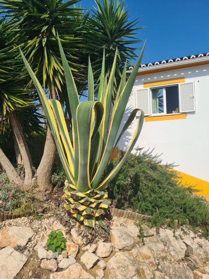Casa Ensolarada B&B And Pottery Aljezur Exterior foto